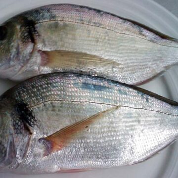 Orata e salmone, i prodotti ittici più richiesti
